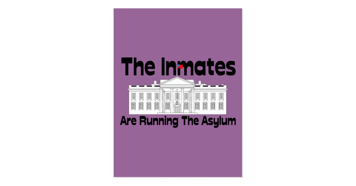 The Inmates Are Running The Asylum Postcard Zazzle