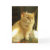 cat-cards, feline-cards, pet-photography-cards,