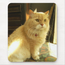 The Inn-keeper's Cat mousepads