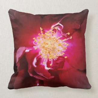 The Inner Fire - Red Rose Photography throwpillow