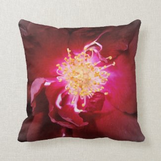 The Inner Fire - Red Rose Photography Throw Pillow