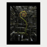 The inner garden posters