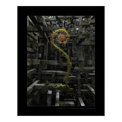 The inner garden poster by gtran