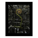 The inner garden posters