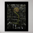 The inner garden posters