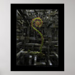 The inner garden poster