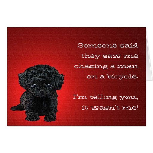 The Innocent Pup Greeting Card Zazzle