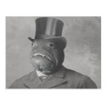 The Innsmouth Look Post Cards