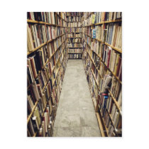 The interior of a second-hand bookshop Sweden. Post Card