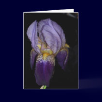 The Iris cards