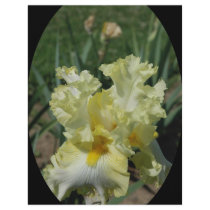 The Iris Flyers