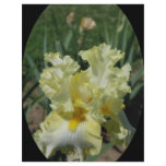 The Iris flyers