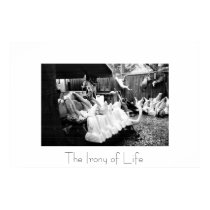 The Irony of Life posters