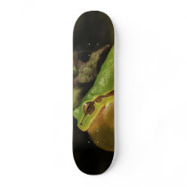 The Italian Tree Frog Hyla Intermedia Skate Board Decks