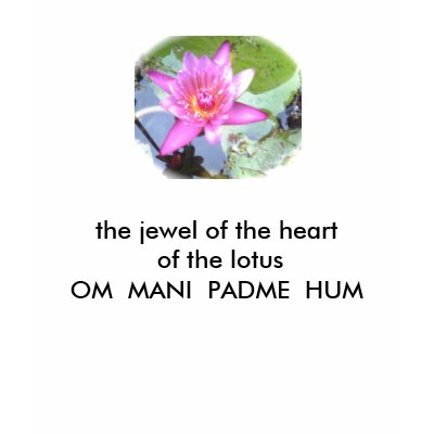 the jewel of the heart of the lotus OM... T-shirt by amaura