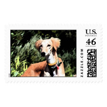 The Jinji Saluki postage