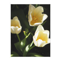 The Joy Of Spring Canvas Prints