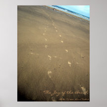 The Joy of the Beach Posters