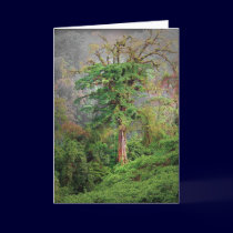 The Jungle cards