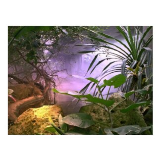The Jungle print