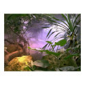 The Jungle posters