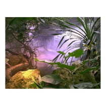 The Jungle posters by Shadowchaser The Jungle posters