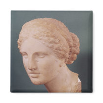 The Kauffmann Head, Head of Aphrodite Fridge Magnets