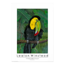 The Keel-billed Toucan posters