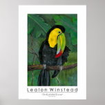 The Keel-billed Toucan posters