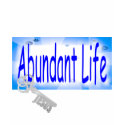 The Key to Abundant Life V2 shirt
