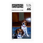 The "Kids" postage