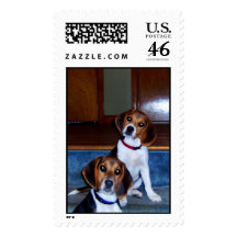 The "Kids" Postage