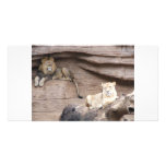 The King AND Queen of the Jungle Photo Cards