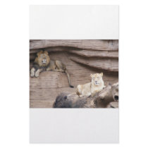 The King AND Queen of the Jungle Customized Stationery