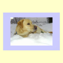 The King in the snow - Labrador winter scene posters
