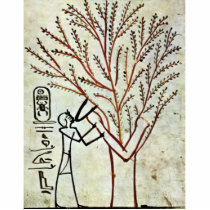 The King Is Fed From The Holy Tree (Lady Of The Sy Photo Cutout
