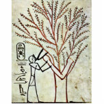 The King Is Fed From The Holy Tree (Lady Of The Sy Photo Cutout