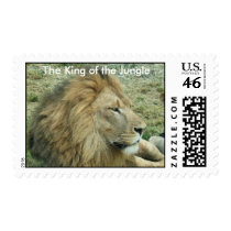 The king of the Jungle postage