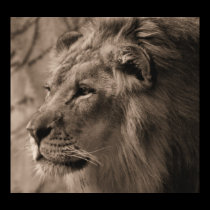 The King posters