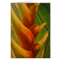 The Kings' Heliconia cards
