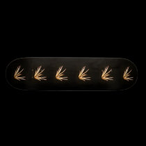 The King's Speech skateboards