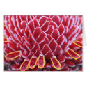 The Kings' Torch Ginger cards by lmitic The Kings' Torch Ginger cards