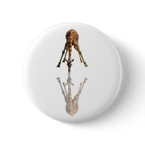 THE KISS BUTTON