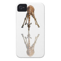 THE KISS IPHONE 4 CASE