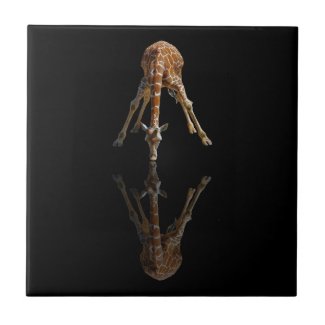 THE KISS tile