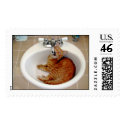 The Kitten Sink postage