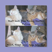 The Kittens -aka The Boys - funny pics magnets