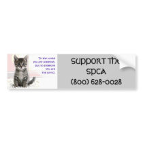 The Kitten's World Bumper Sticker