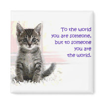 The Kitten's World magnets