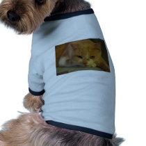 The kitty cat pet clothing